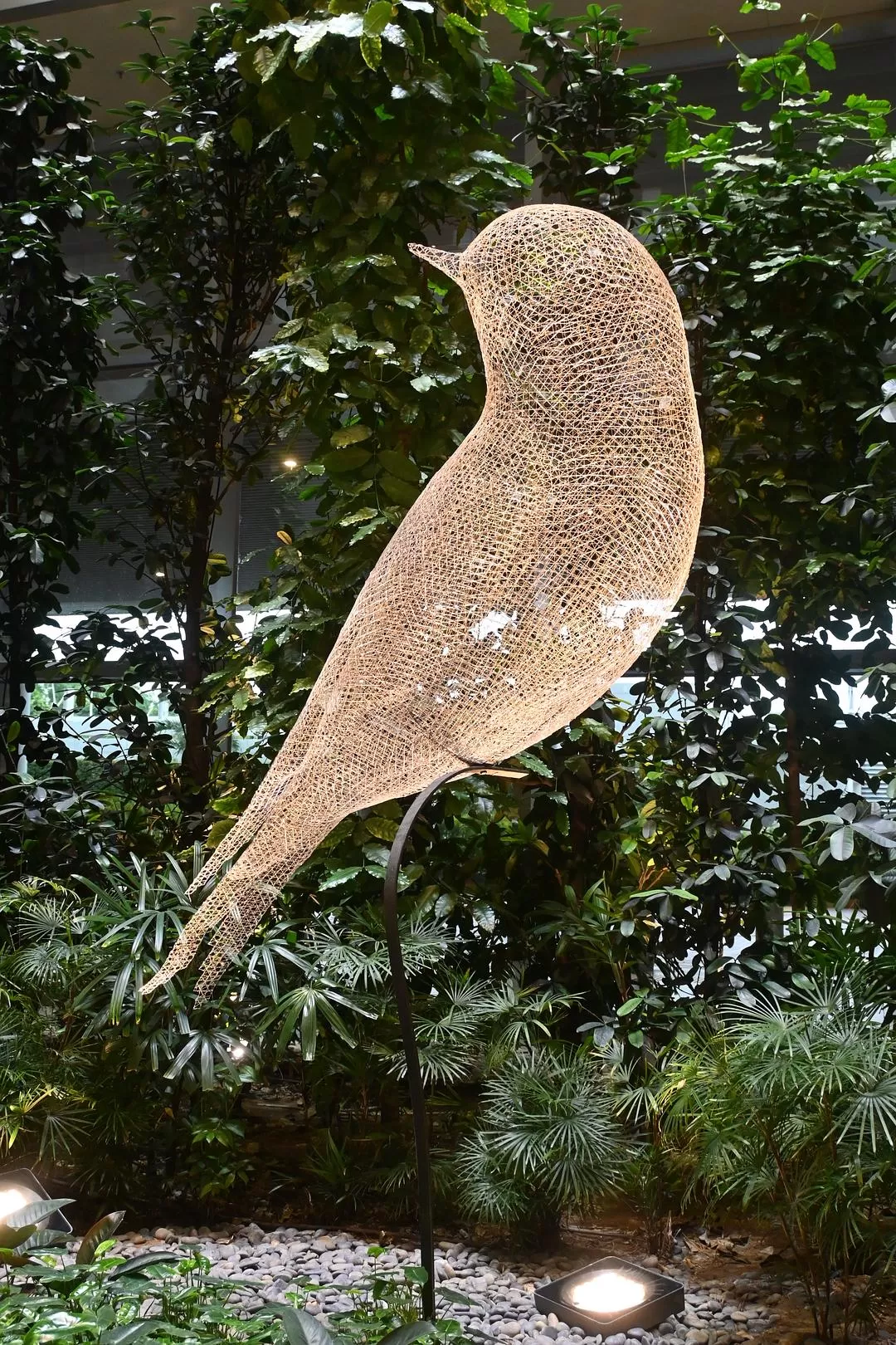 旅游推荐💯国外游：收获满满的新加坡🇸🇬之旅（持续更新多图预警一更）