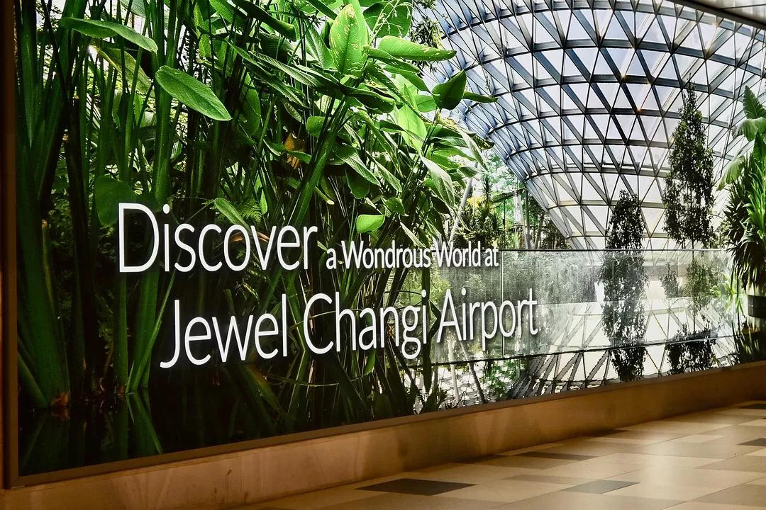 旅游推荐💯国外游：收获满满的新加坡🇸🇬之旅（持续更新多图预警一更）