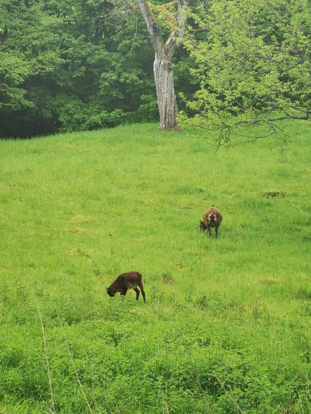 旅游推荐⚡国外游：欧洲solo trip不要太爽（还体验了柏林和威尼斯电影节！！）