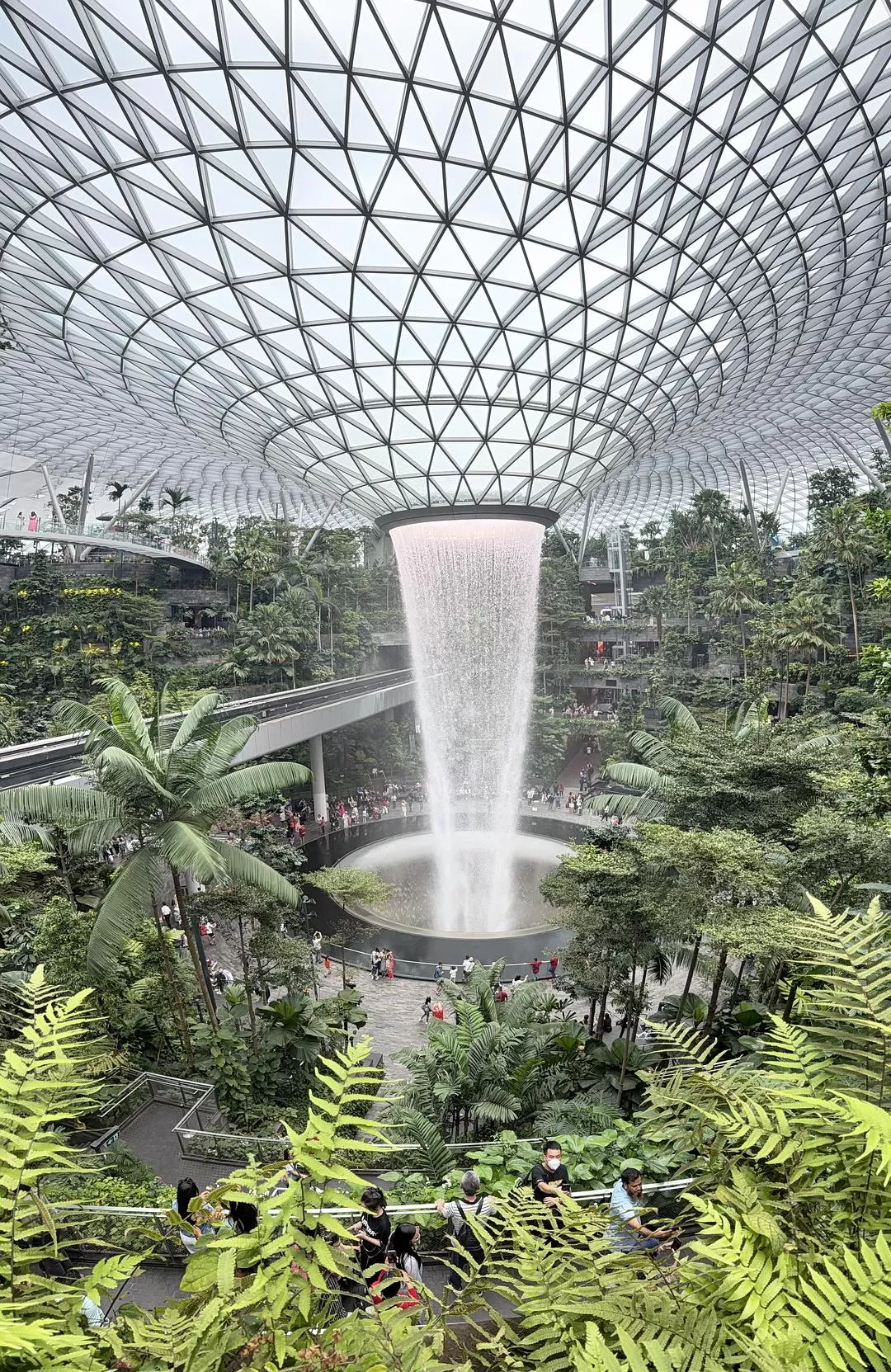 旅游推荐💯国外游：收获满满的新加坡🇸🇬之旅（持续更新多图预警一更）