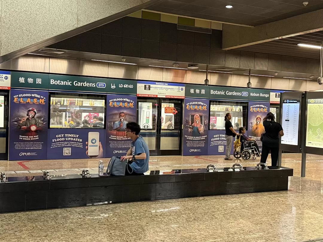 旅游推荐💯国外游：收获满满的新加坡🇸🇬之旅（持续更新多图预警一更）