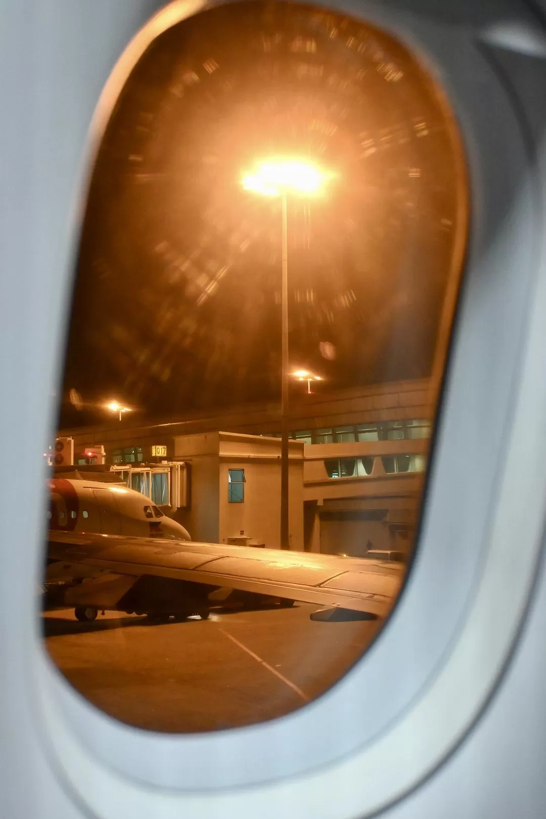 旅游推荐💯国外游：收获满满的新加坡🇸🇬之旅（持续更新多图预警一更）