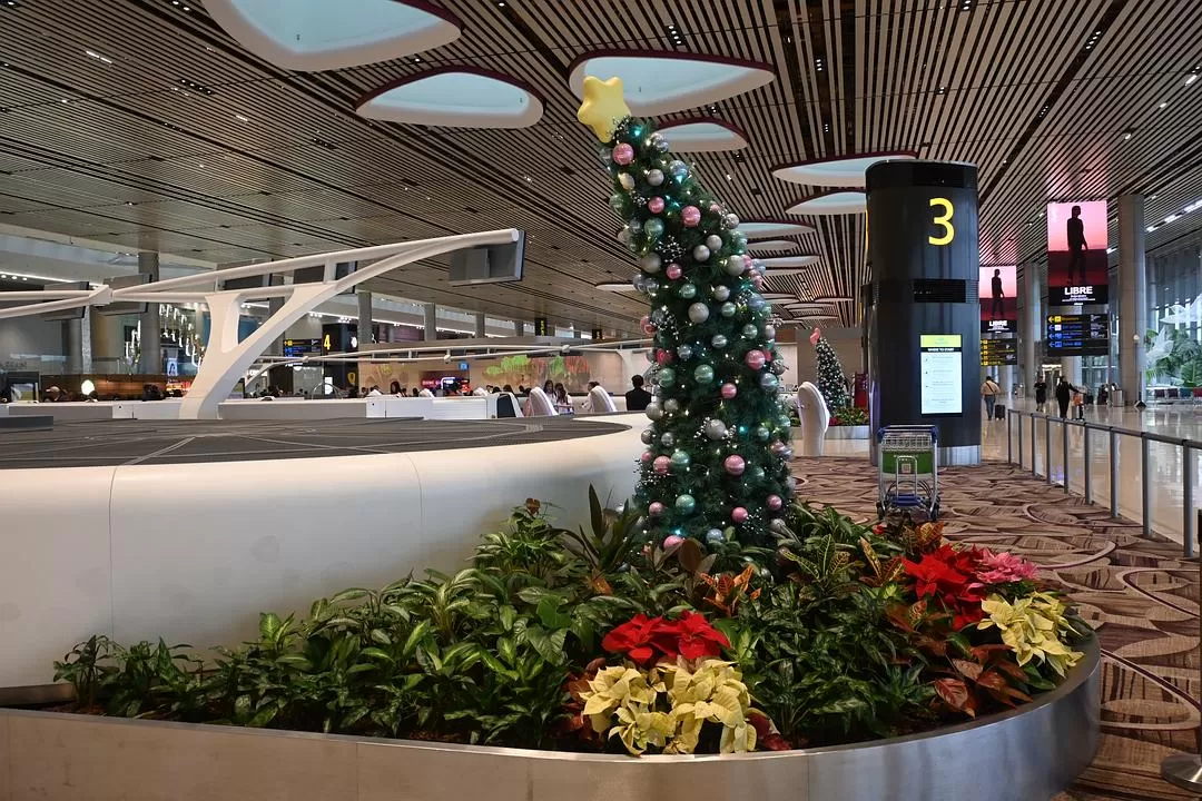 旅游推荐💯国外游：收获满满的新加坡🇸🇬之旅（持续更新多图预警一更）