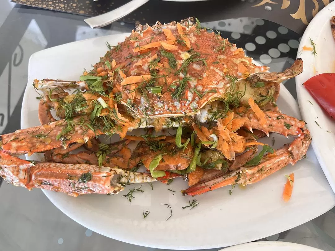 旅游推荐💯国外游：在埃及自由行26天花费4763