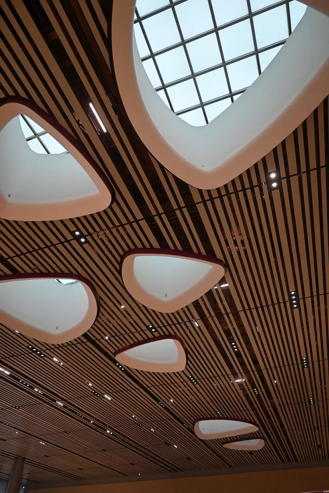 旅游推荐💯国外游：收获满满的新加坡🇸🇬之旅（持续更新多图预警一更）