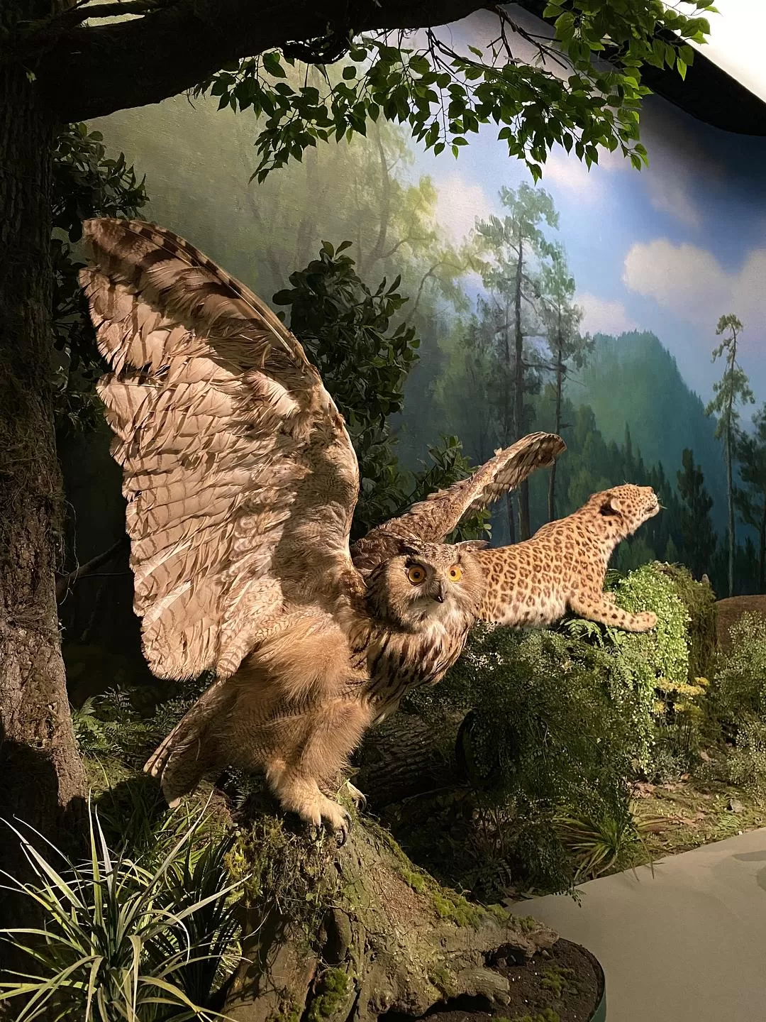 旅游推荐🥇两人游：杭州周边游之衢州龙游——一座两极分化的城市