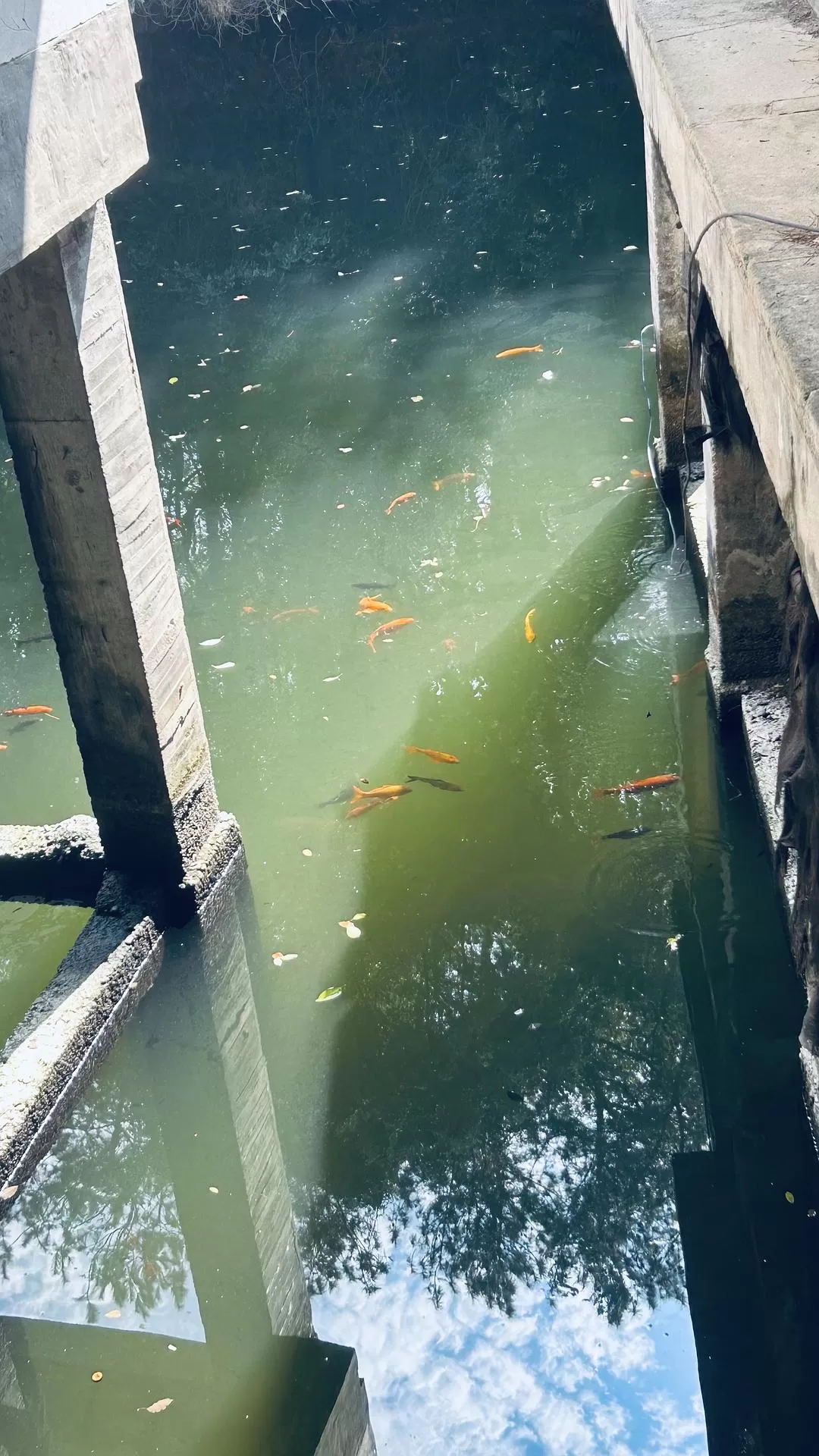 旅游推荐🥇两人游：杭州周边游之衢州龙游——一座两极分化的城市