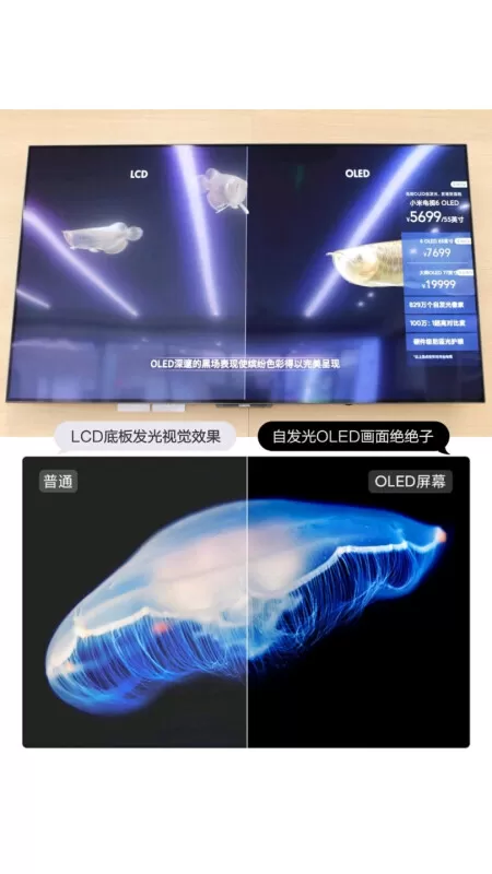 💢小米电视6运动补偿OLED平板电视65寸评测小米液晶电视怎么样?