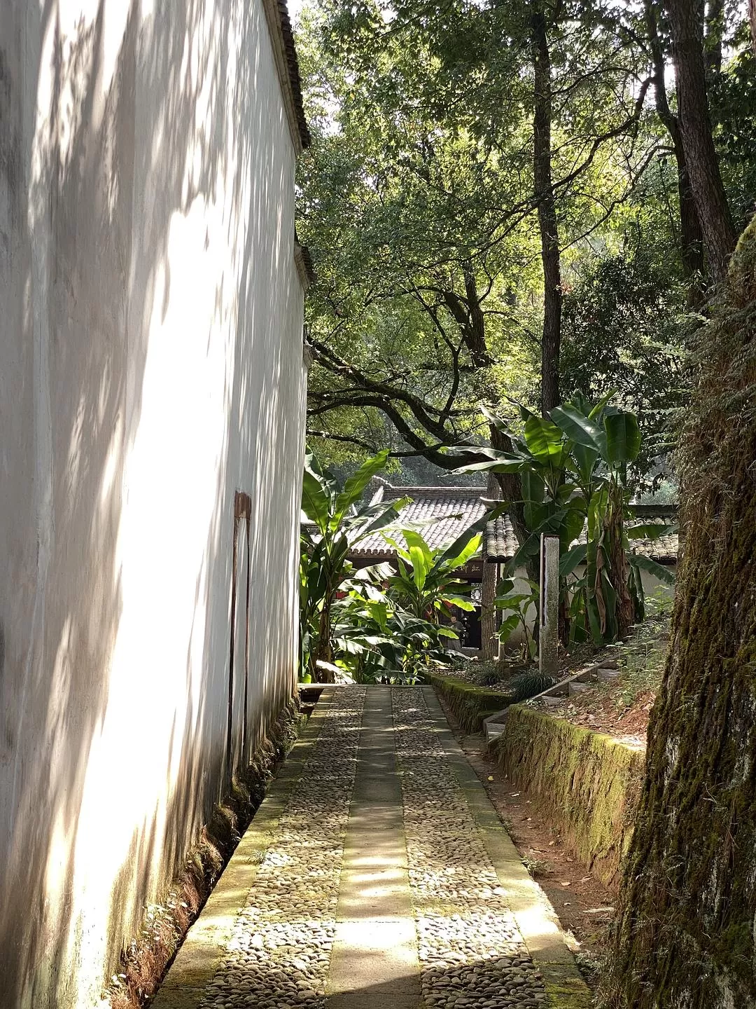 旅游推荐🥇两人游：杭州周边游之衢州龙游——一座两极分化的城市