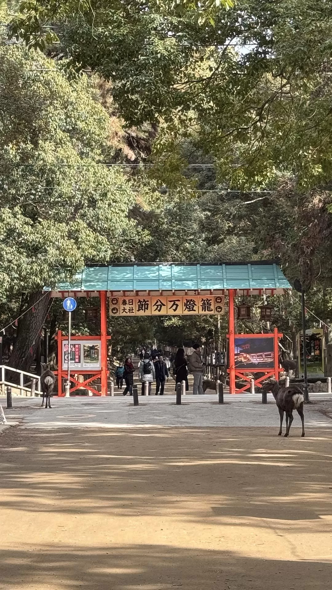 旅游推荐✨国外游：日本10日游（关东+关西）