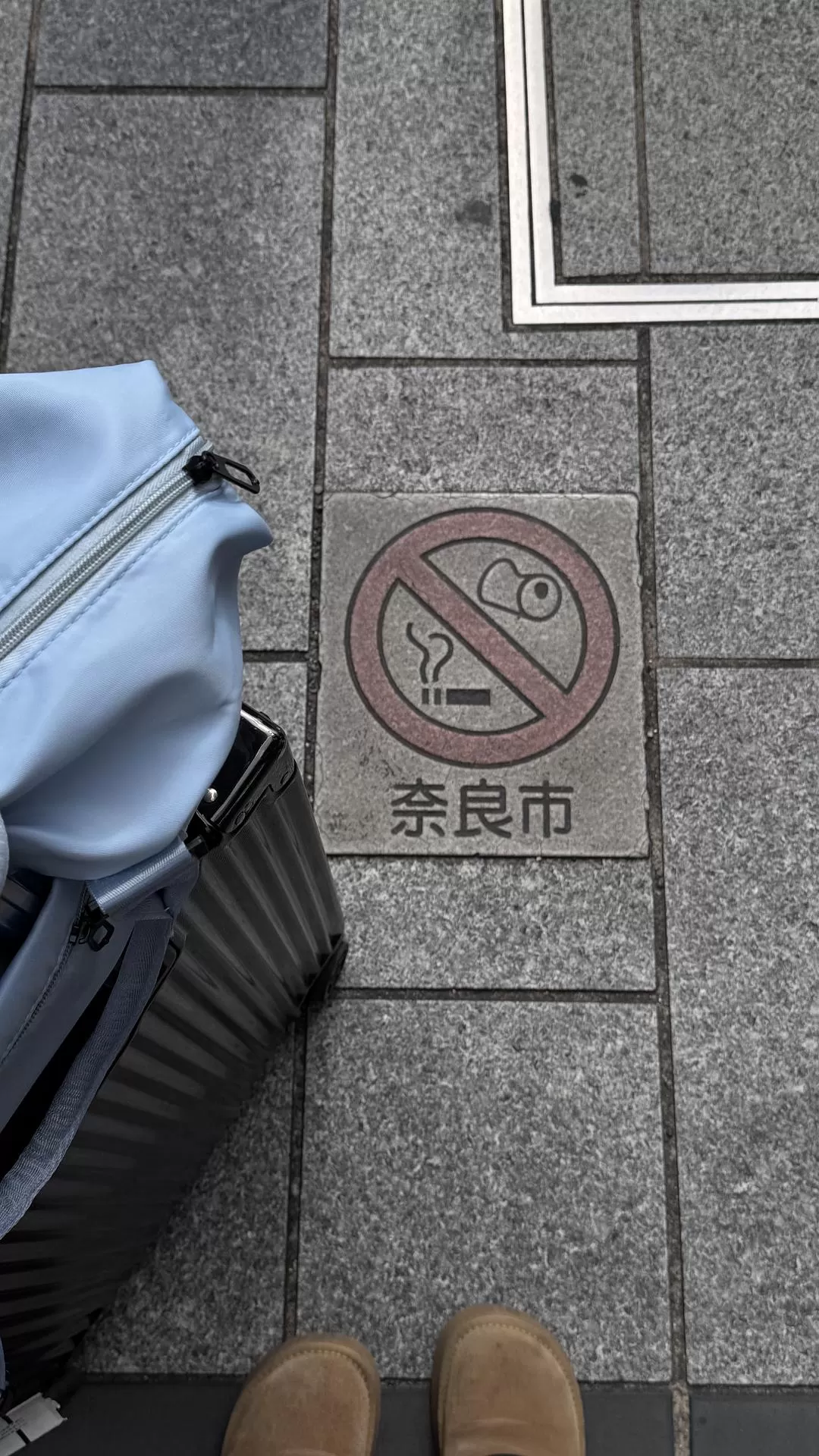 旅游推荐✨国外游：日本10日游（关东+关西）