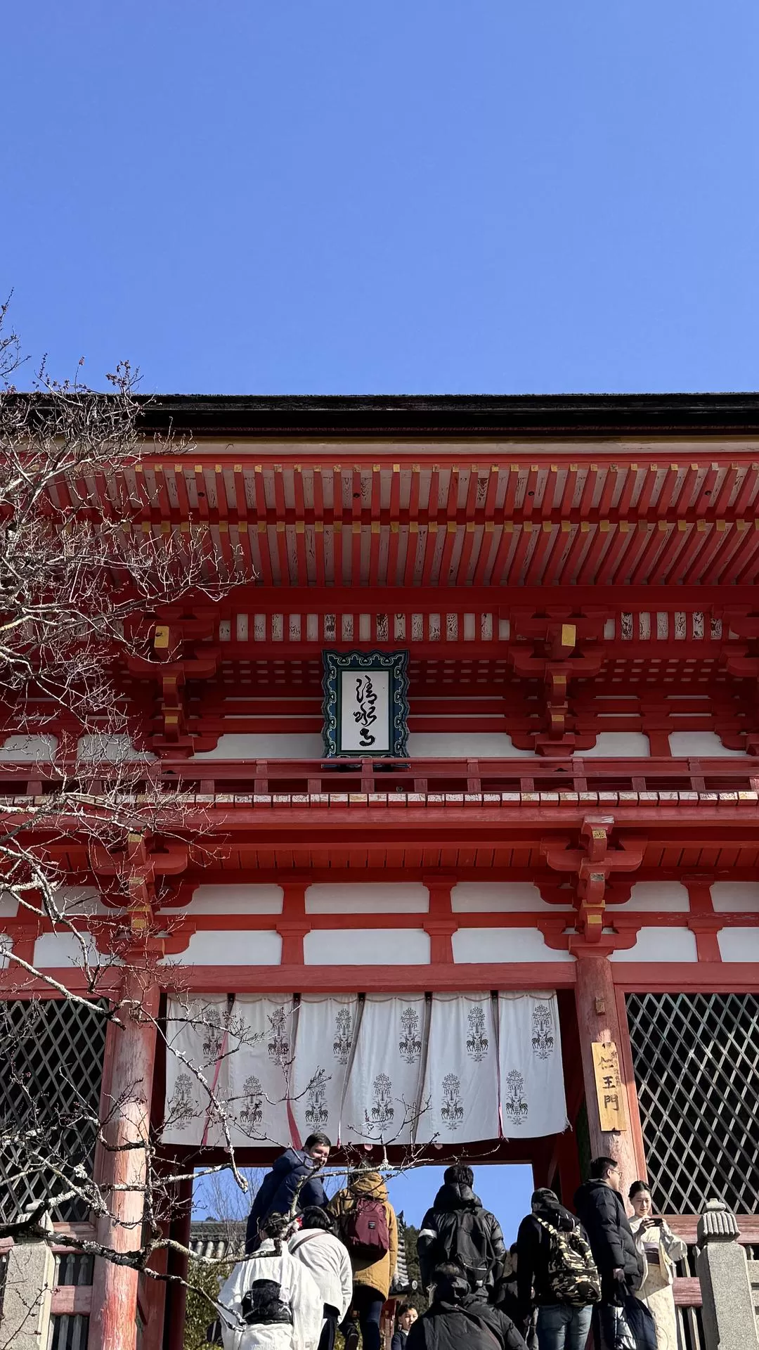 旅游推荐✨国外游：日本10日游（关东+关西）