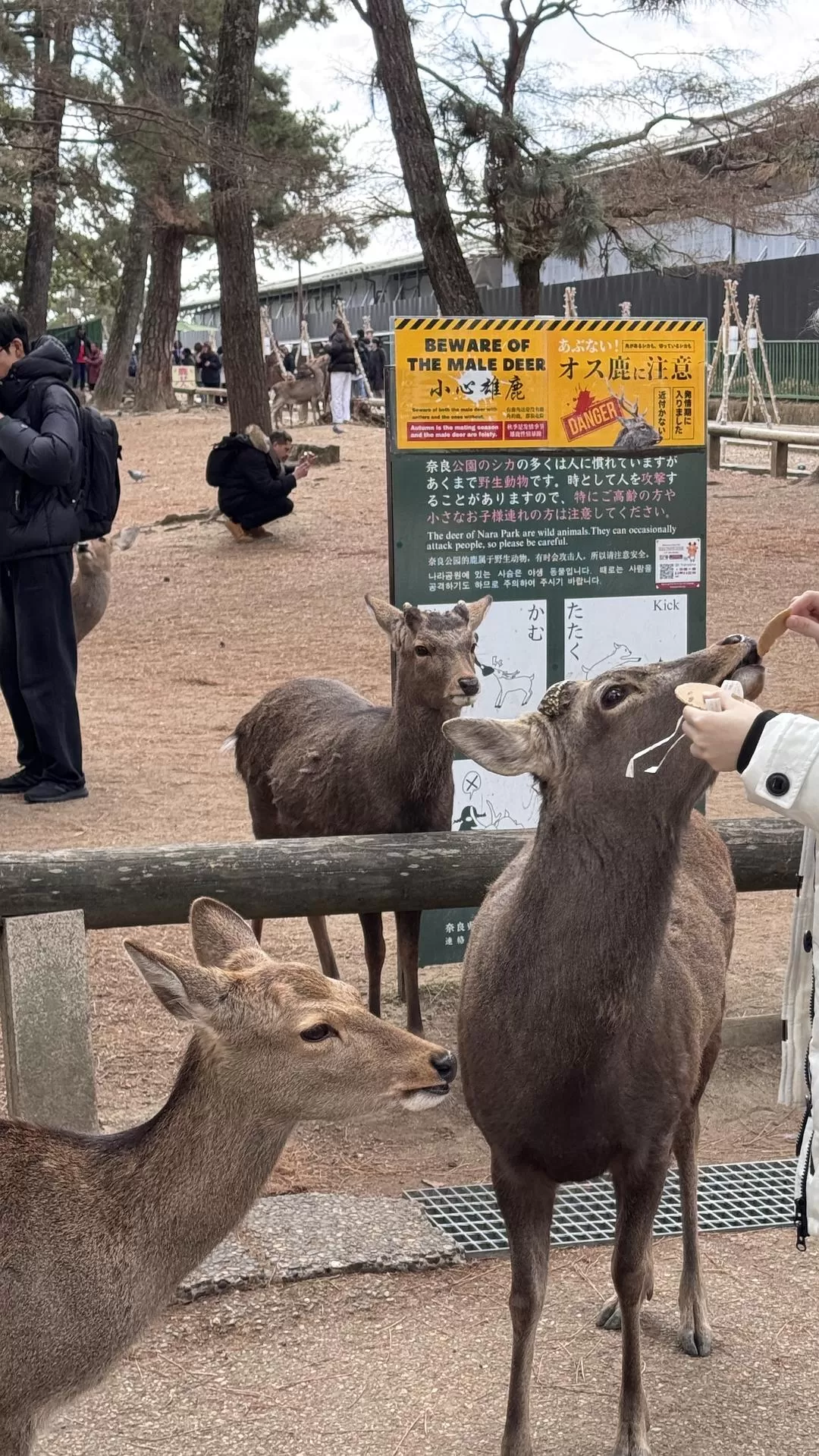 旅游推荐✨国外游：日本10日游（关东+关西）