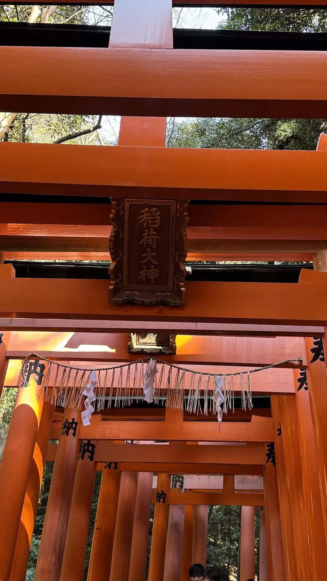 旅游推荐✨国外游：日本10日游（关东+关西）