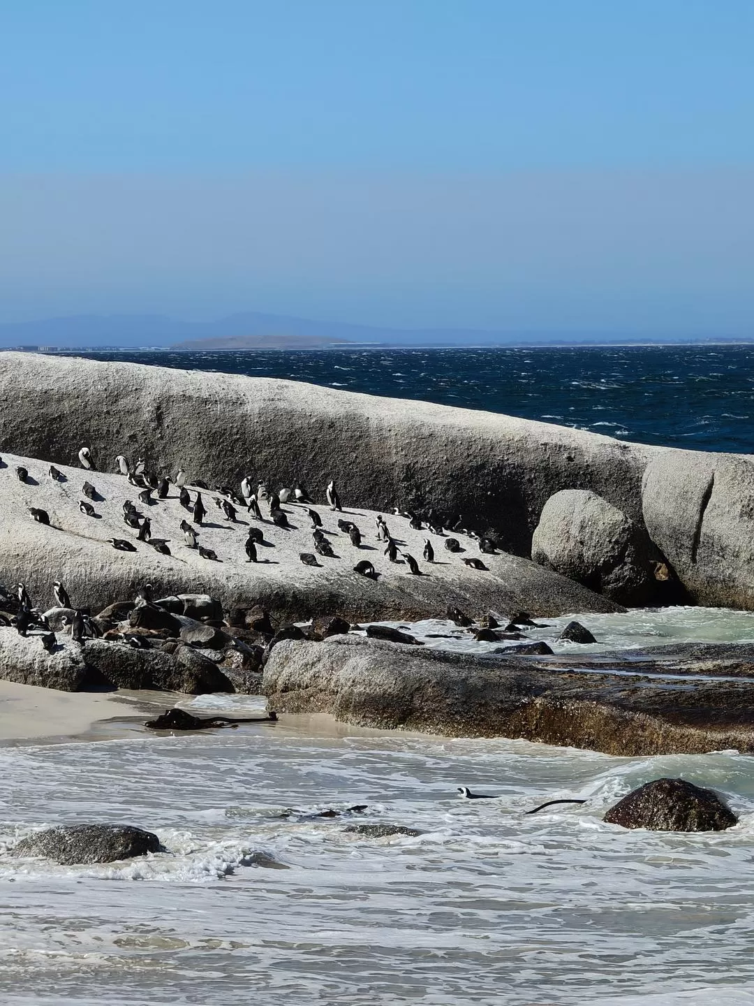 旅游推荐💞一人游：勇闯津巴布韦+南非😎