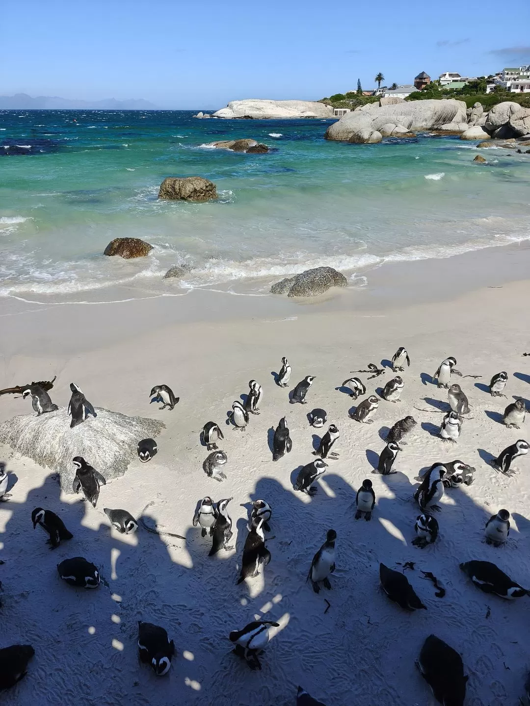 旅游推荐💞一人游：勇闯津巴布韦+南非😎