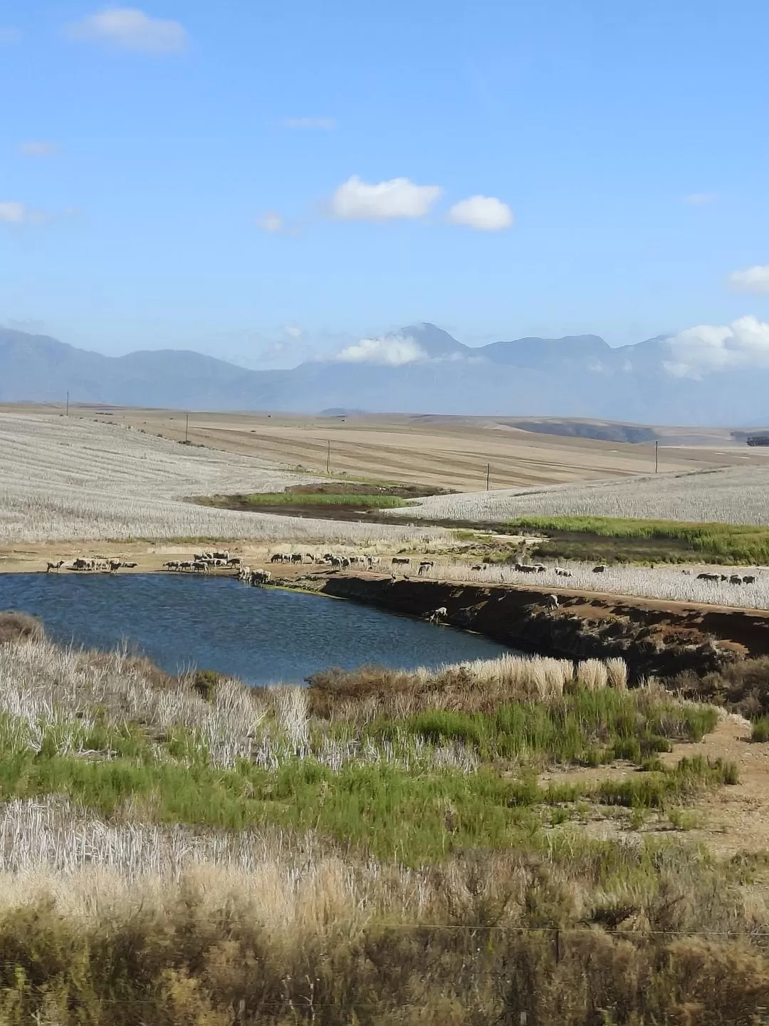 旅游推荐💞一人游：勇闯津巴布韦+南非😎