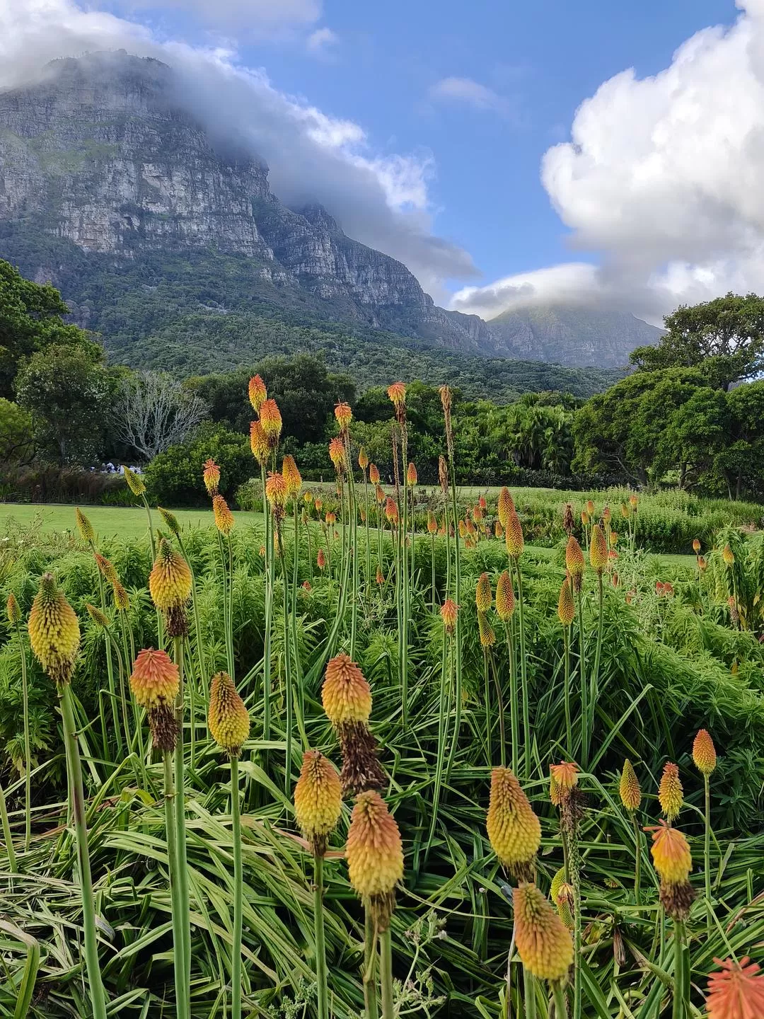 旅游推荐💞一人游：勇闯津巴布韦+南非😎