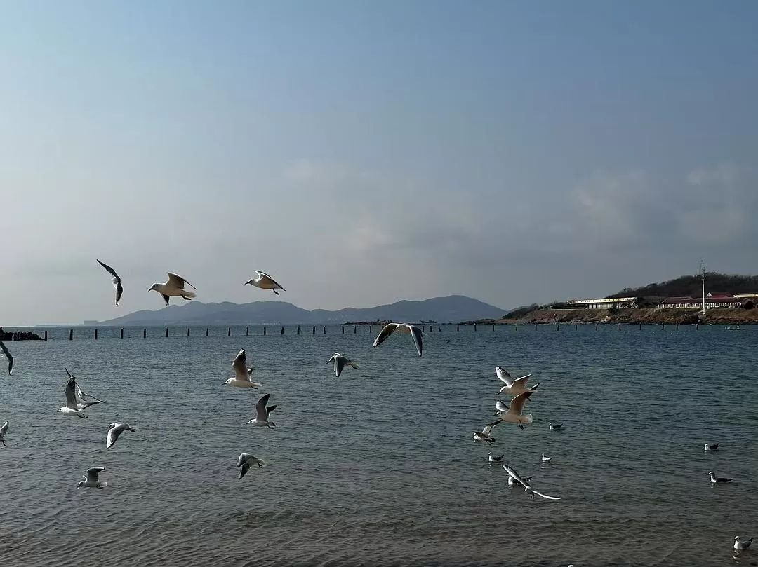 旅游推荐💓一人游：青岛一人行-三天断腿之旅