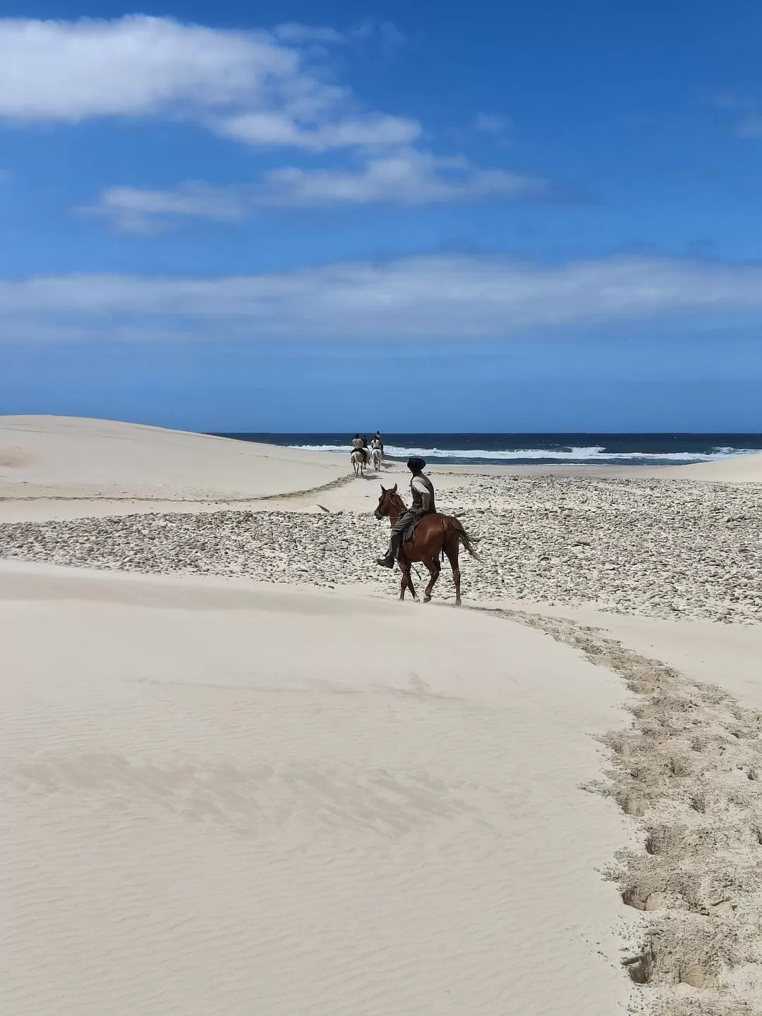 旅游推荐💞一人游：勇闯津巴布韦+南非😎