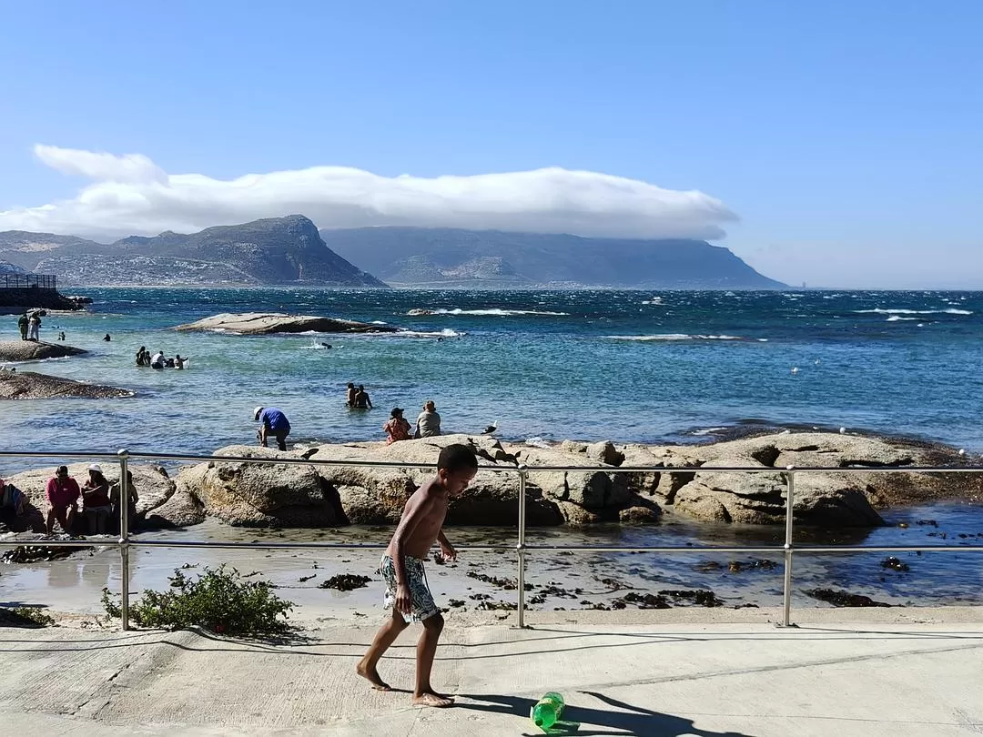 旅游推荐💞一人游：勇闯津巴布韦+南非😎