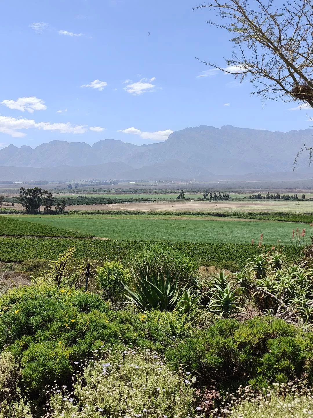 旅游推荐💞一人游：勇闯津巴布韦+南非😎