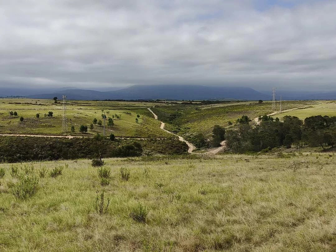 旅游推荐💞一人游：勇闯津巴布韦+南非😎
