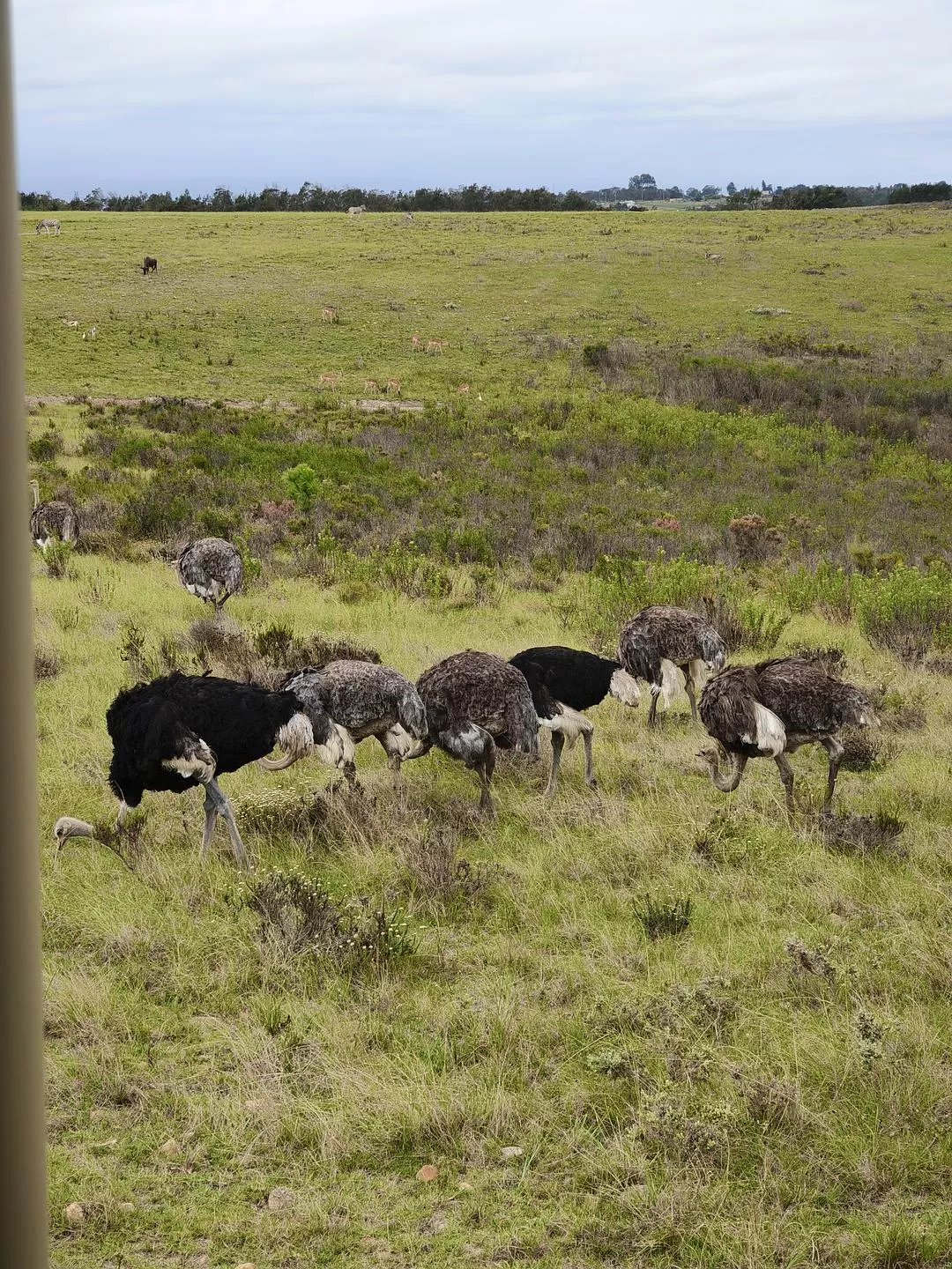 旅游推荐💞一人游：勇闯津巴布韦+南非😎