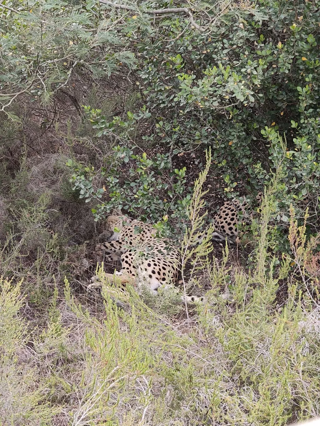旅游推荐💞一人游：勇闯津巴布韦+南非😎