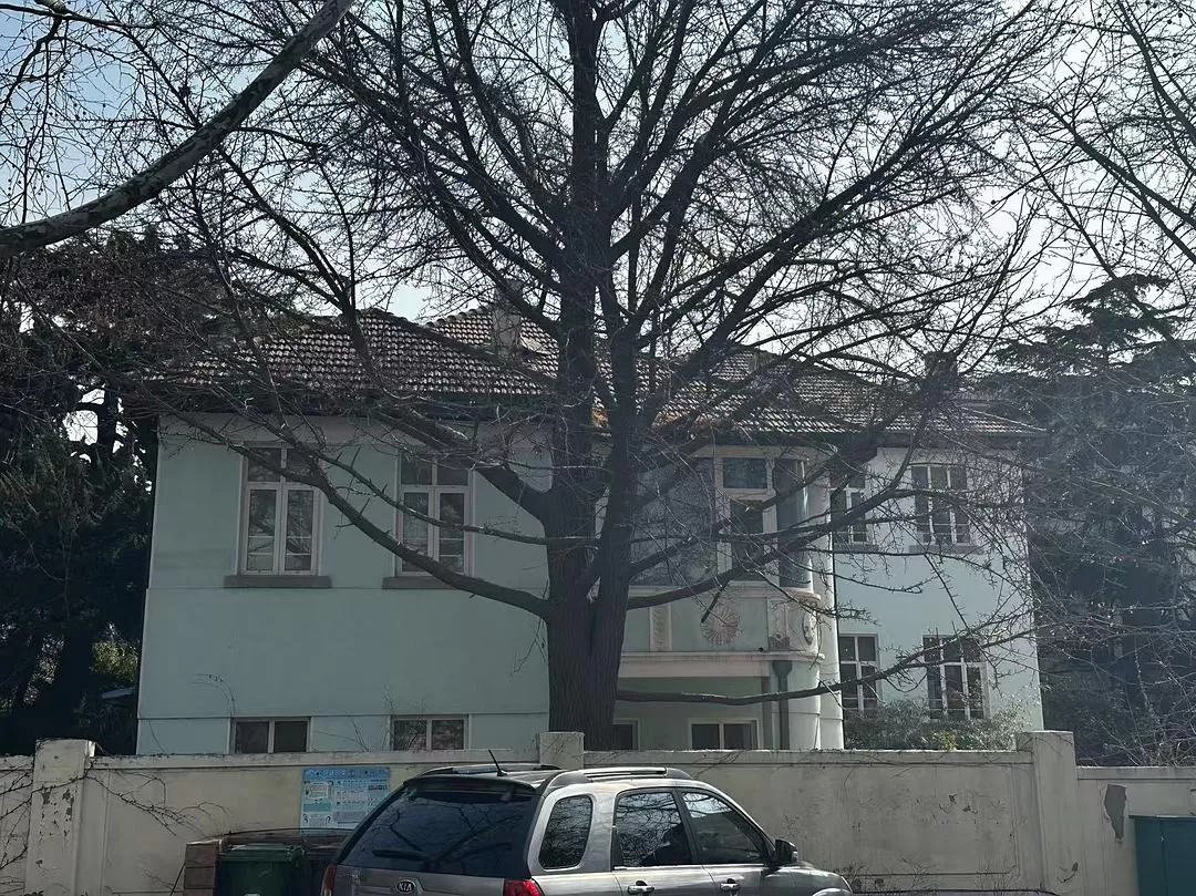 旅游推荐💓一人游：青岛一人行-三天断腿之旅