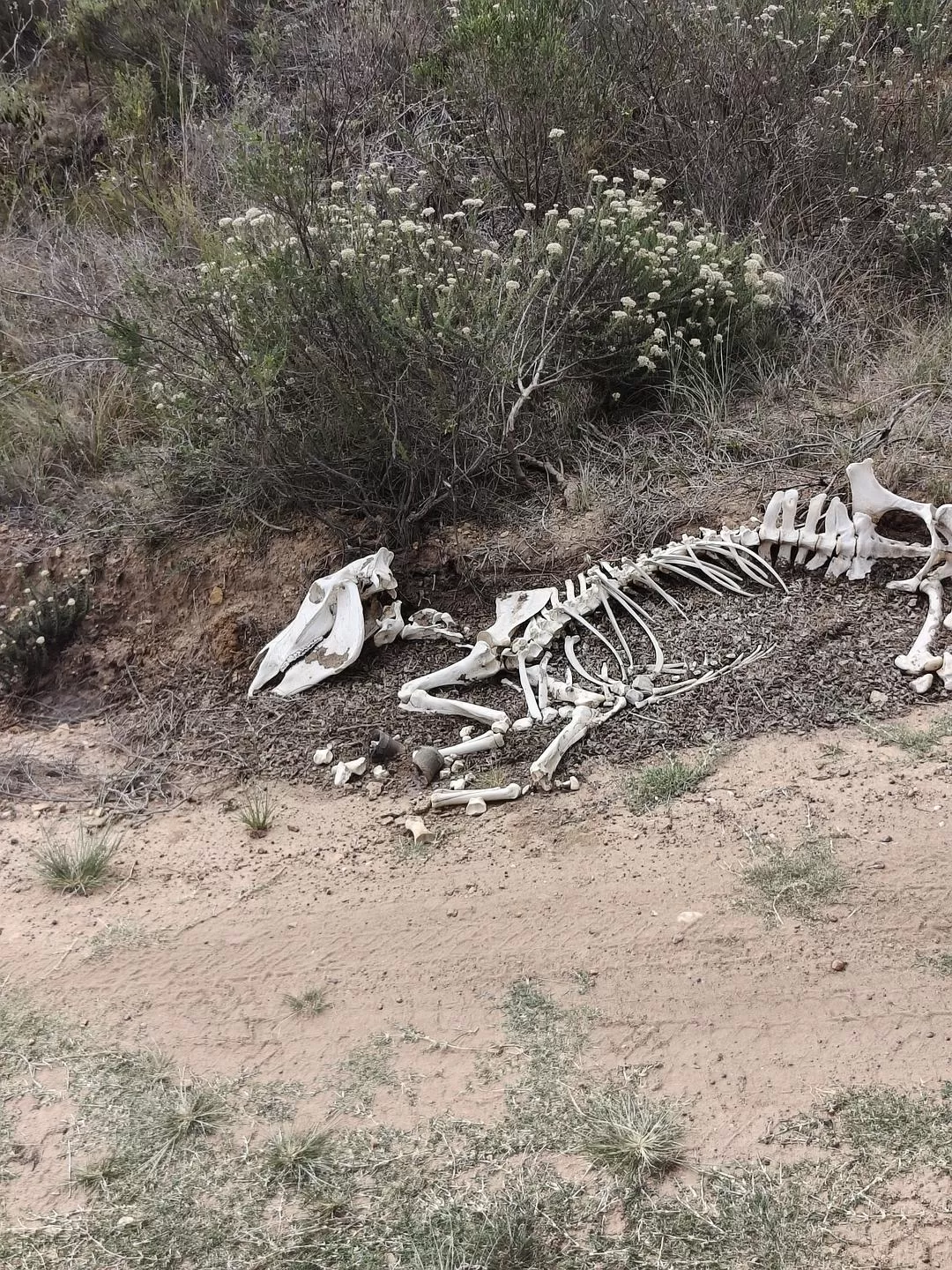 旅游推荐💞一人游：勇闯津巴布韦+南非😎