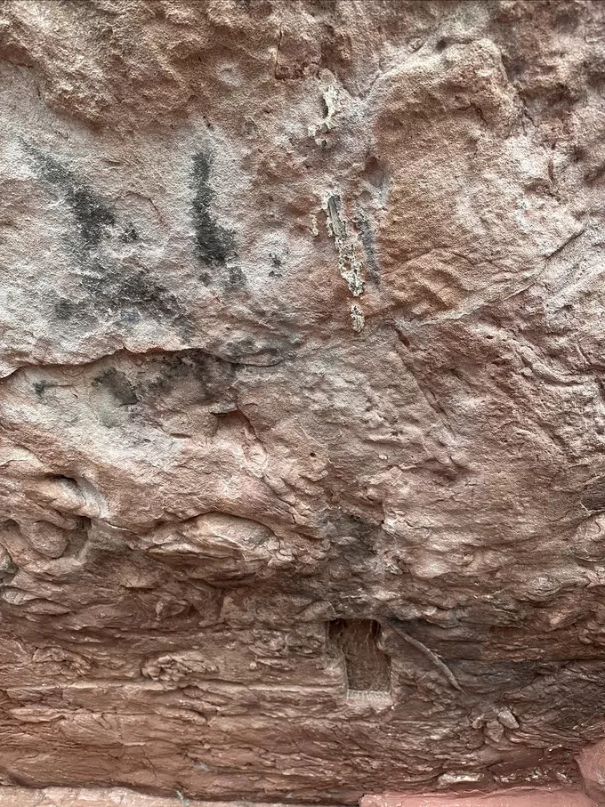 🥈道家飞升处还有恐龙脚印化石这些可以吸引到你吗？