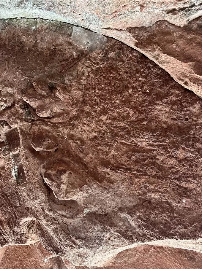 🥈道家飞升处还有恐龙脚印化石这些可以吸引到你吗？