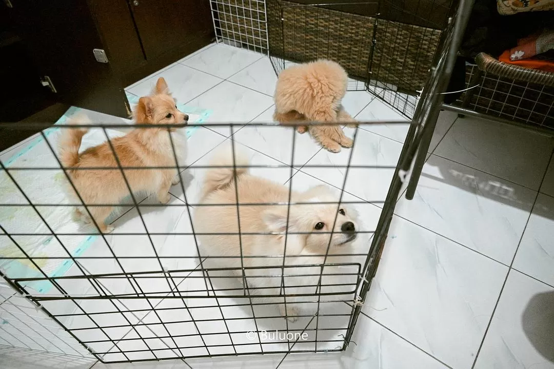 旅游推荐🧧国外游：（7K30天系列）世界在这一刻串联/我的神奇日惹之旅(完结）