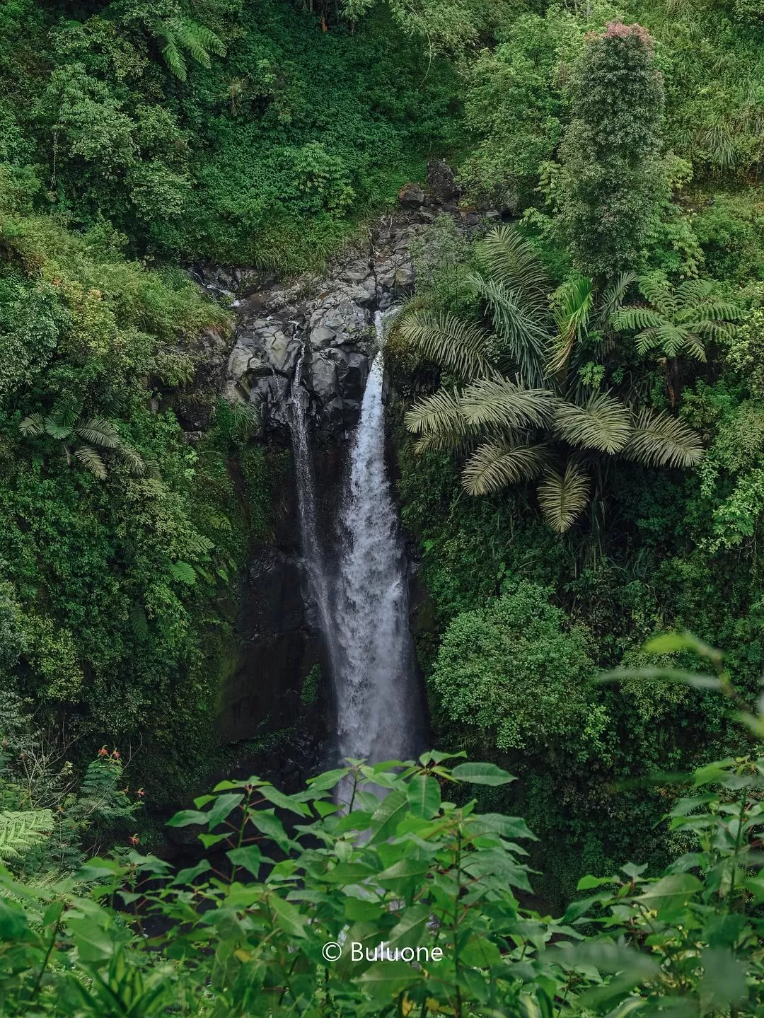 旅游推荐🧧国外游：（7K30天系列）世界在这一刻串联/我的神奇日惹之旅(完结）