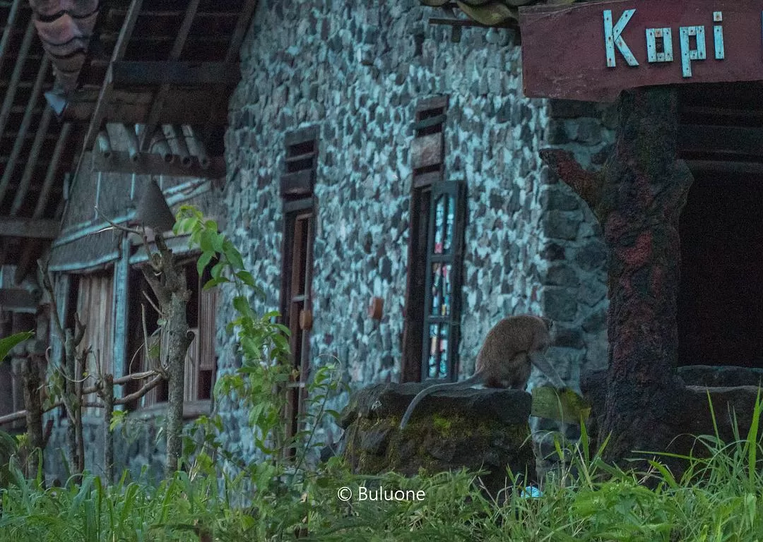 旅游推荐🧧国外游：（7K30天系列）世界在这一刻串联/我的神奇日惹之旅(完结）