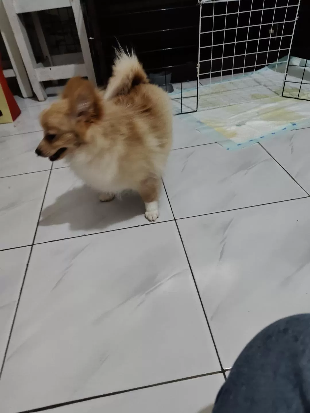 旅游推荐🧧国外游：（7K30天系列）世界在这一刻串联/我的神奇日惹之旅(完结）