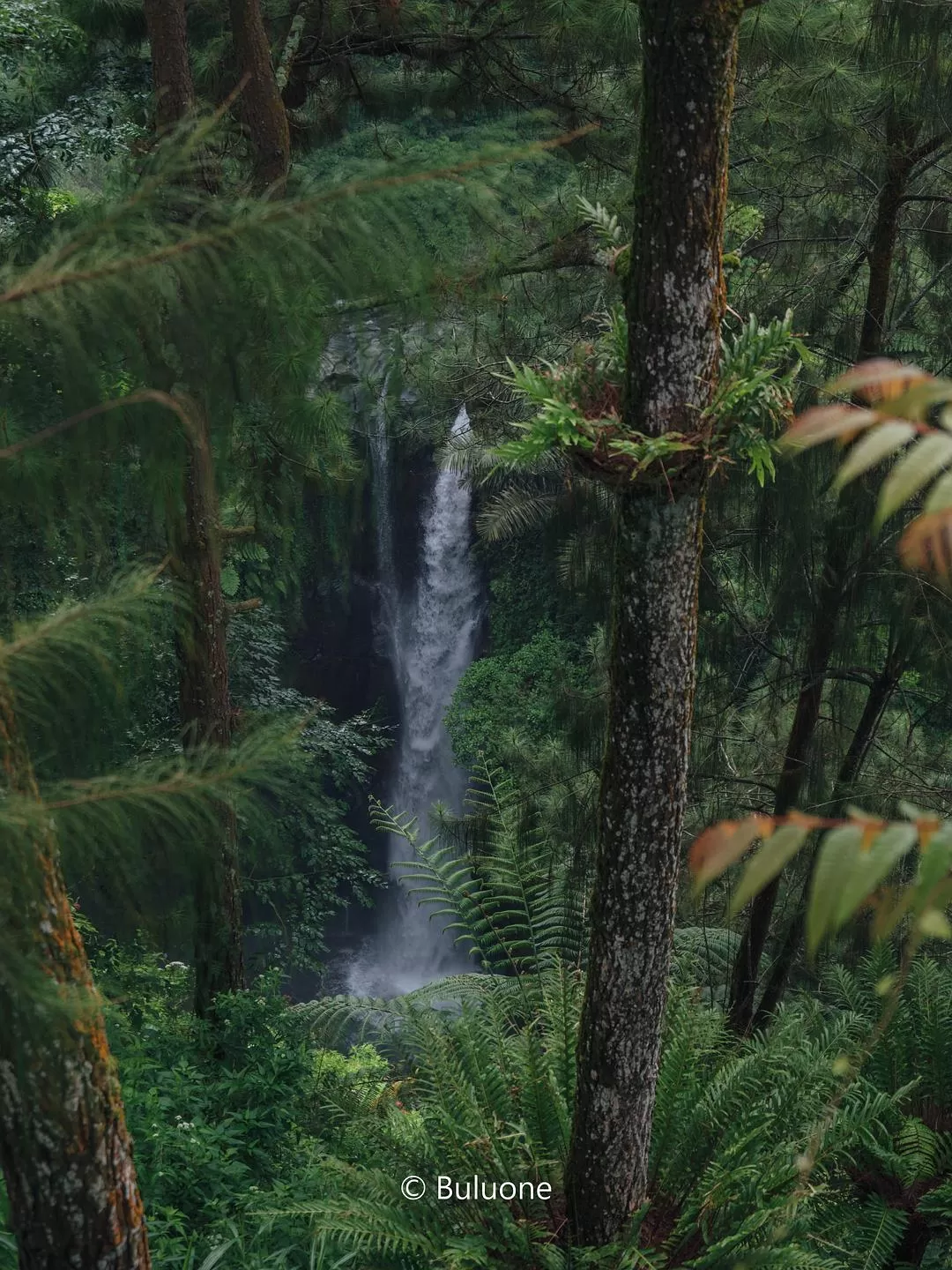 旅游推荐🧧国外游：（7K30天系列）世界在这一刻串联/我的神奇日惹之旅(完结）