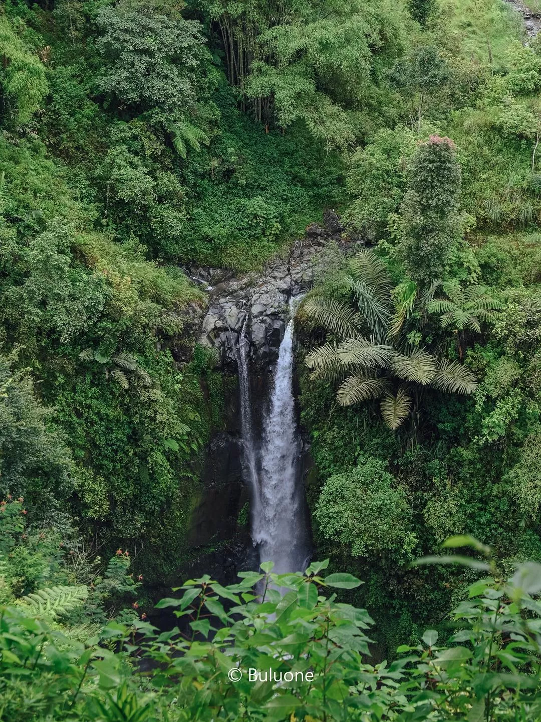 旅游推荐🧧国外游：（7K30天系列）世界在这一刻串联/我的神奇日惹之旅(完结）