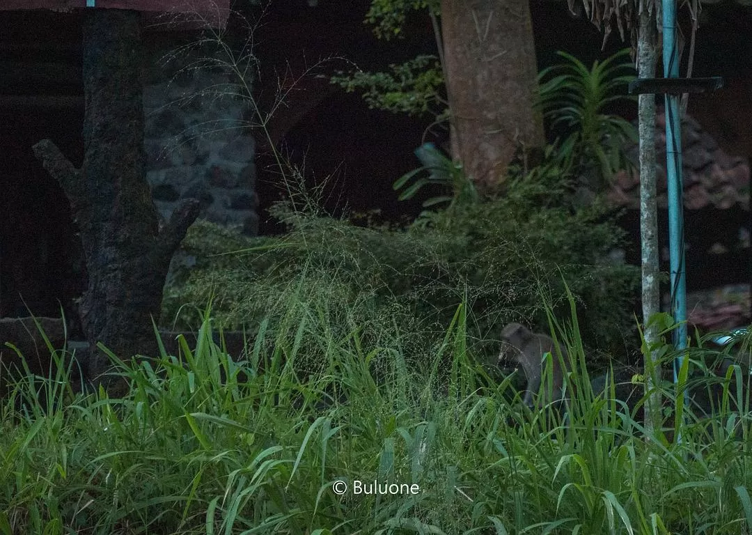 旅游推荐🧧国外游：（7K30天系列）世界在这一刻串联/我的神奇日惹之旅(完结）