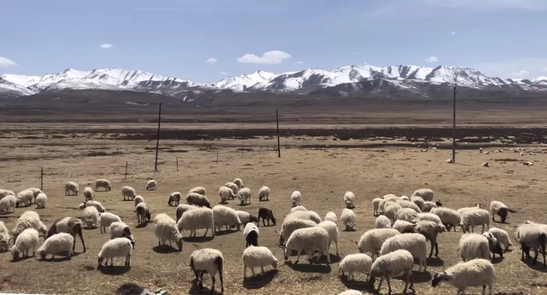旅游推荐🤬一人游：拼车去了西北环线！
