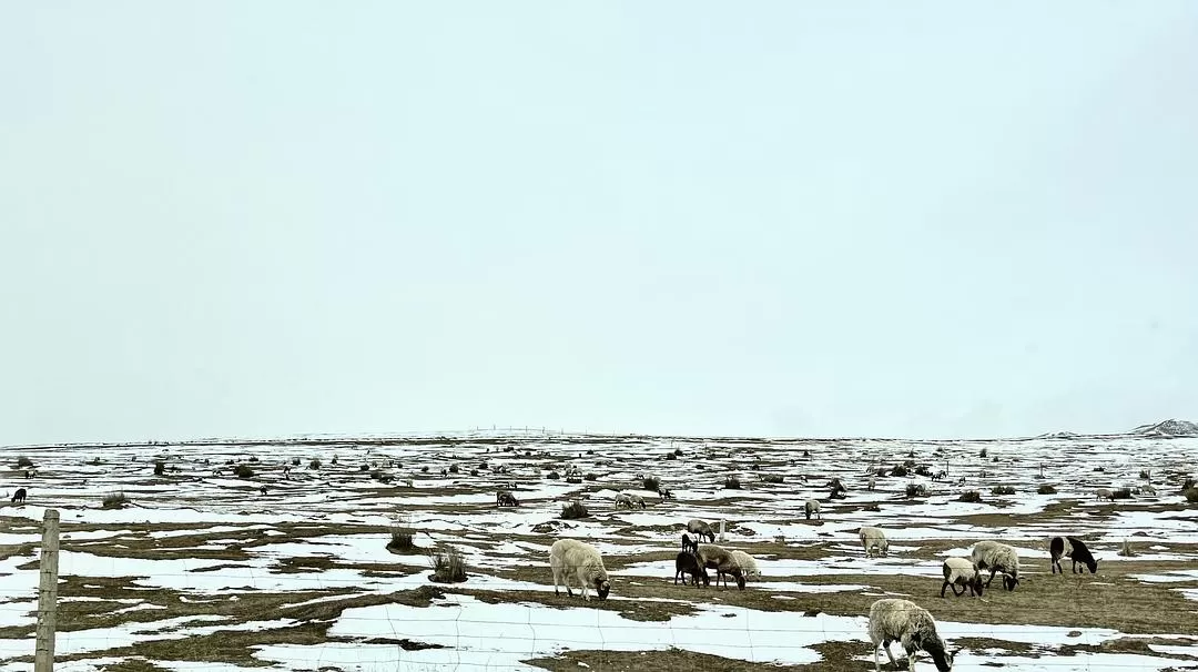 旅游推荐🤬一人游：拼车去了西北环线！