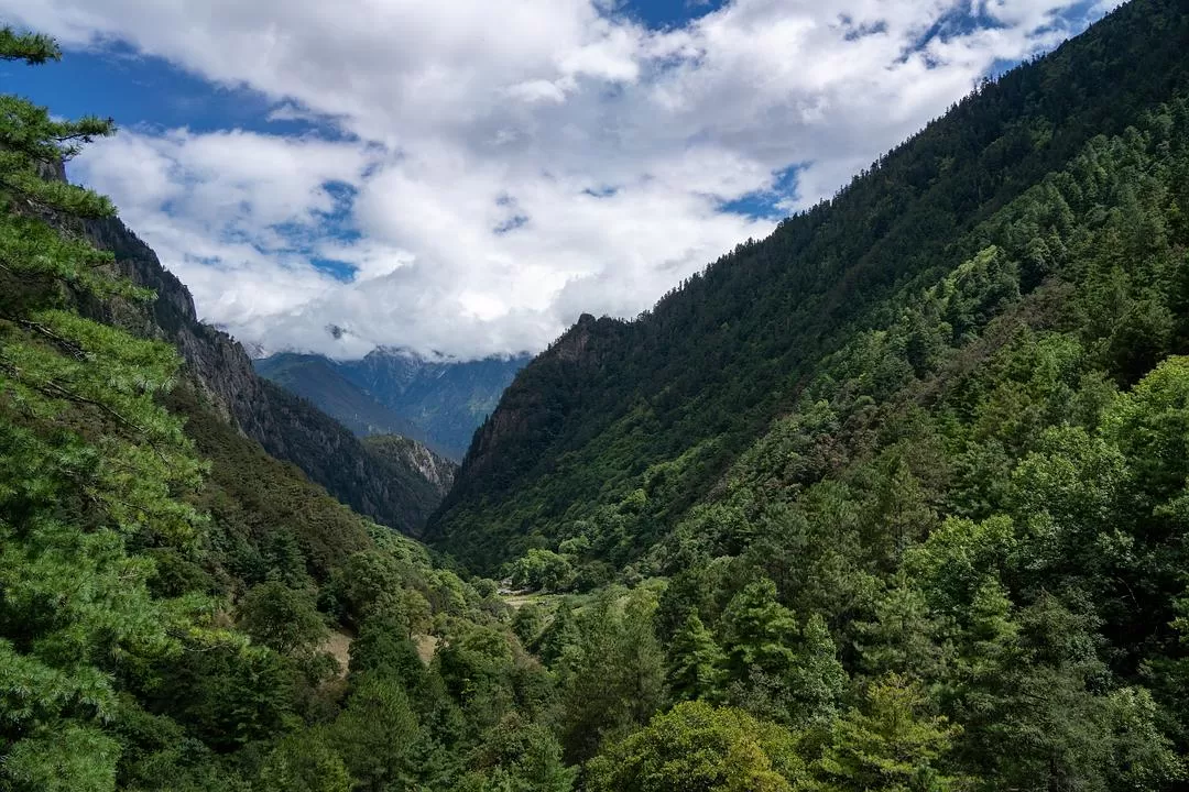 旅游推荐⚡一人游：错峰云南雨崩徒步路线