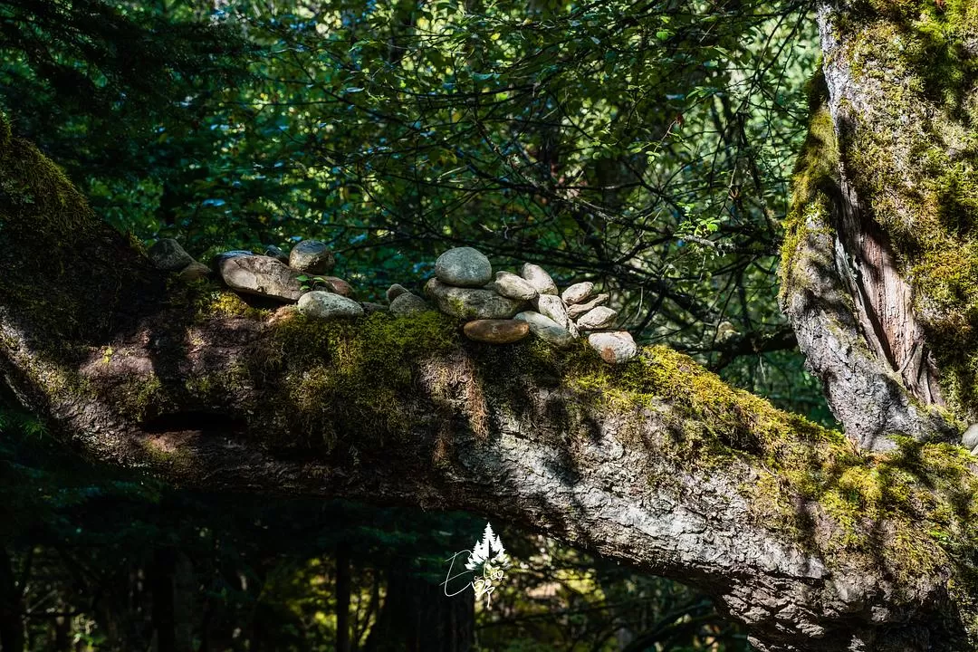 旅游推荐⚡一人游：错峰云南雨崩徒步路线