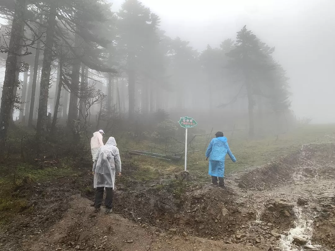 旅游推荐⚡一人游：错峰云南雨崩徒步路线