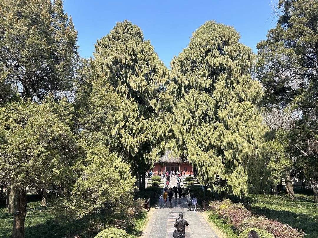 旅游推荐🥇家庭游：三天两夜游南京，全程没踩雷，爱上南京像呼吸一样简单