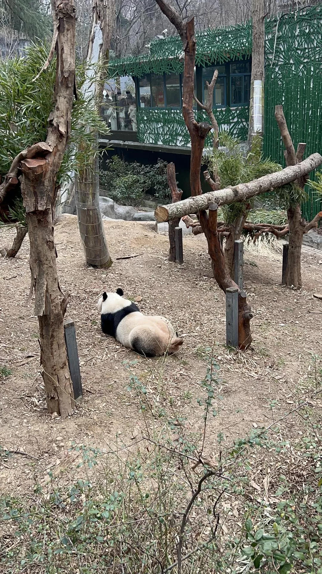 旅游推荐🥇家庭游：三天两夜游南京，全程没踩雷，爱上南京像呼吸一样简单