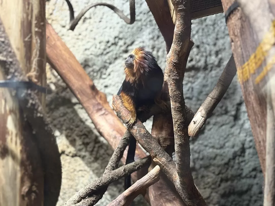 旅游推荐🥇家庭游：三天两夜游南京，全程没踩雷，爱上南京像呼吸一样简单