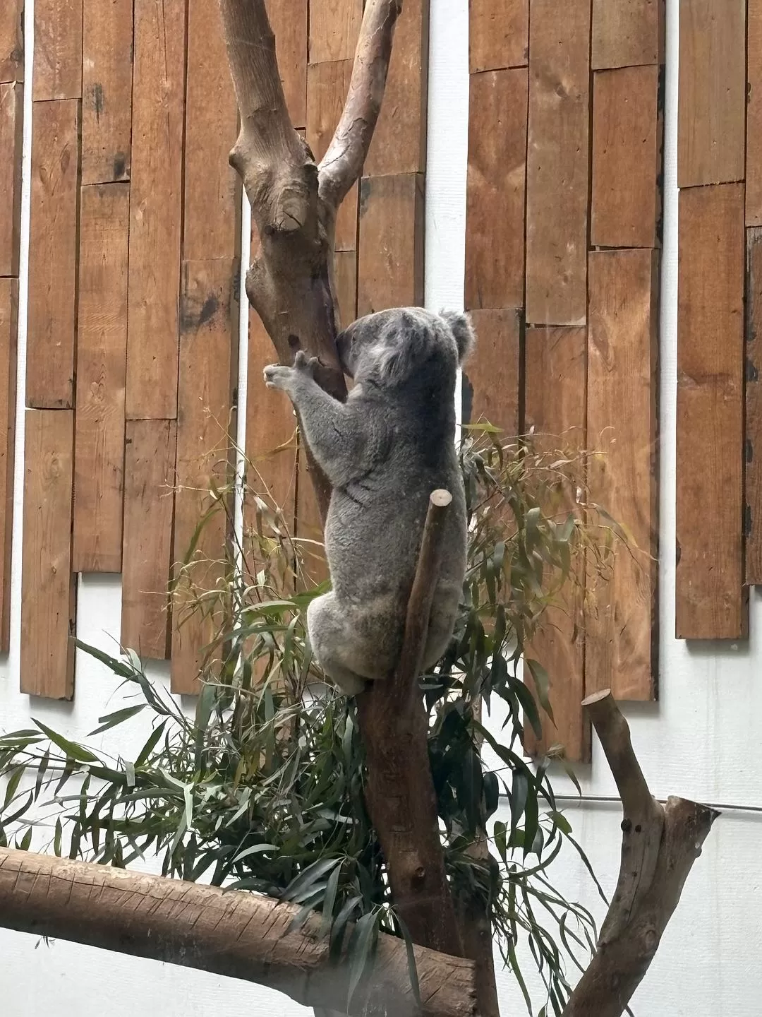 旅游推荐🥇家庭游：三天两夜游南京，全程没踩雷，爱上南京像呼吸一样简单