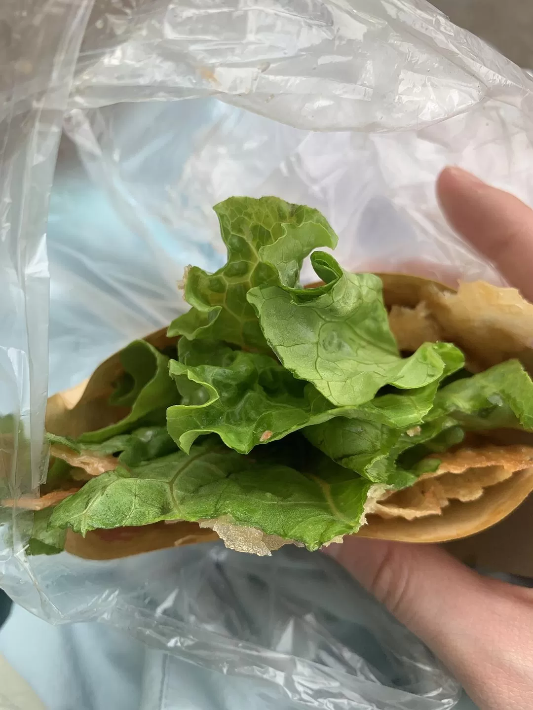 旅游推荐㊙️一人游：长沙四天三晚：成功避开五一